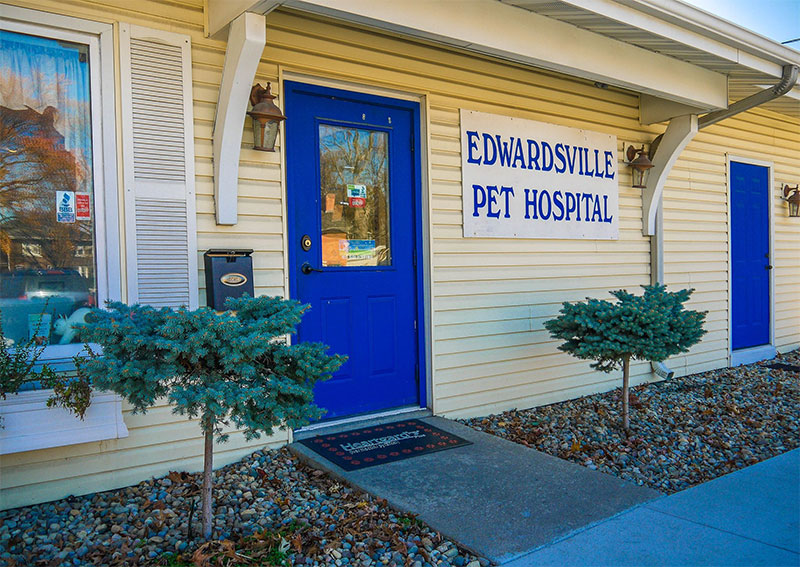 Carousel Slide 4: Edwardsville Veterinary Hospital